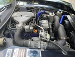 download-7-jpg7